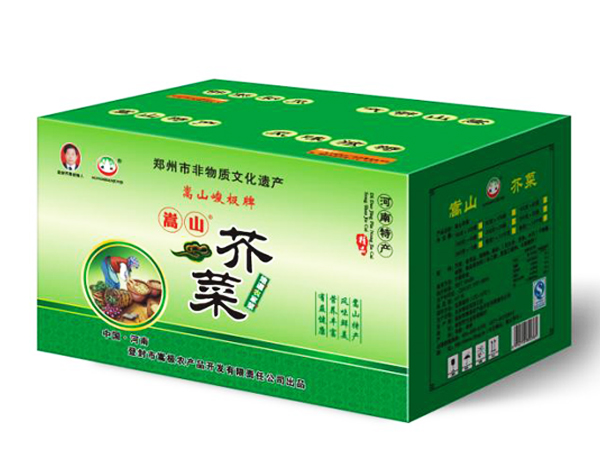 芥丝
