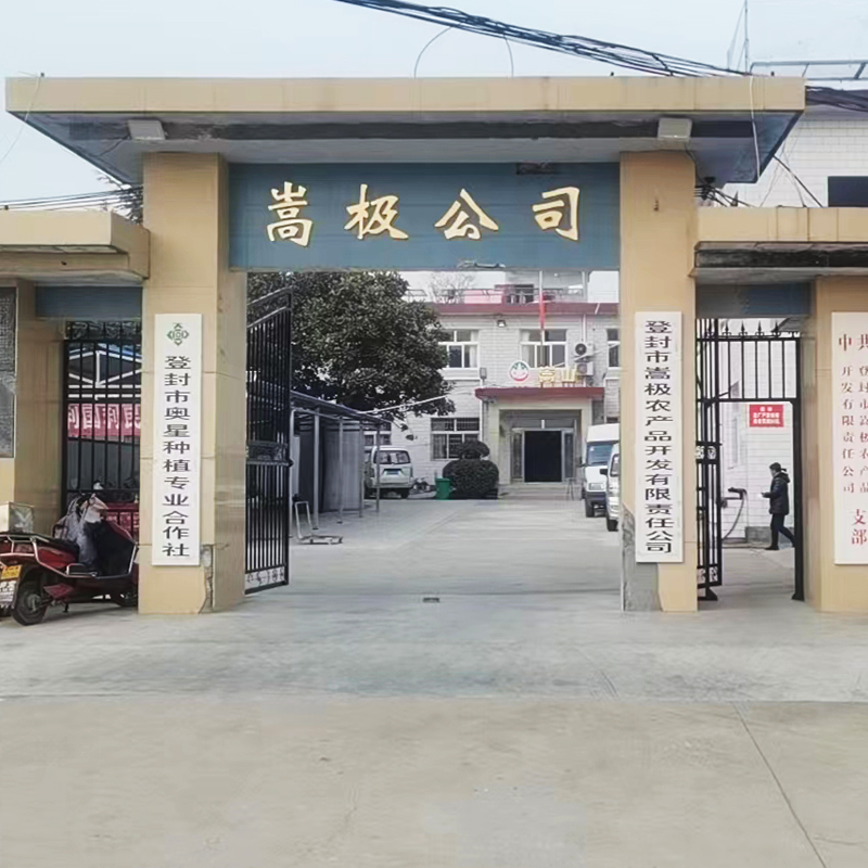 嵩极容貌