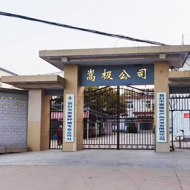 企业容貌